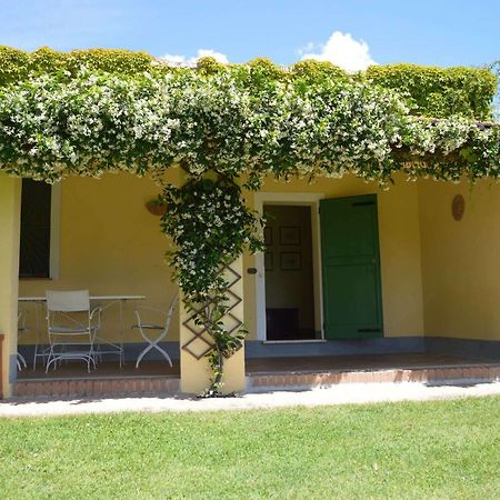 Agriturismo La Godiola Castiglione del Lago Dış mekan fotoğraf